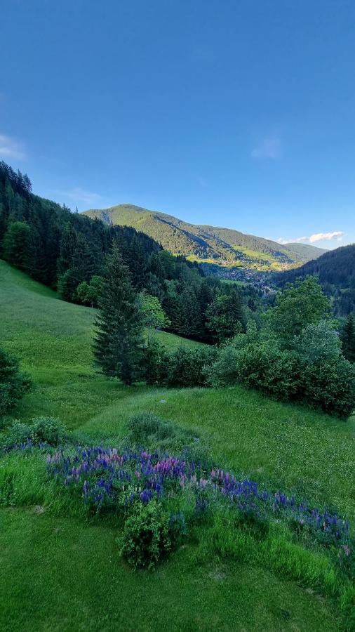 Ferienwohnungen Rabensteiner Bad Kleinkirchheim Exterior photo